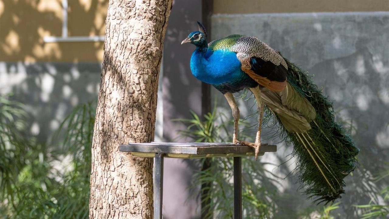 Birds Resort Hambantota Exterior foto